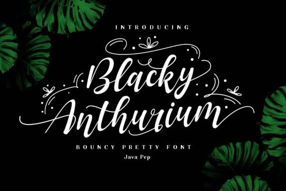 Blacky Anthurium: A Beautiful Script Font for Elegant Branding