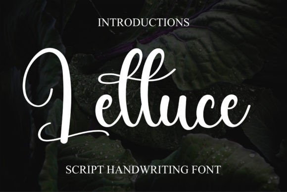 Lettuce: A Timeless Script Font for the Creative Maker